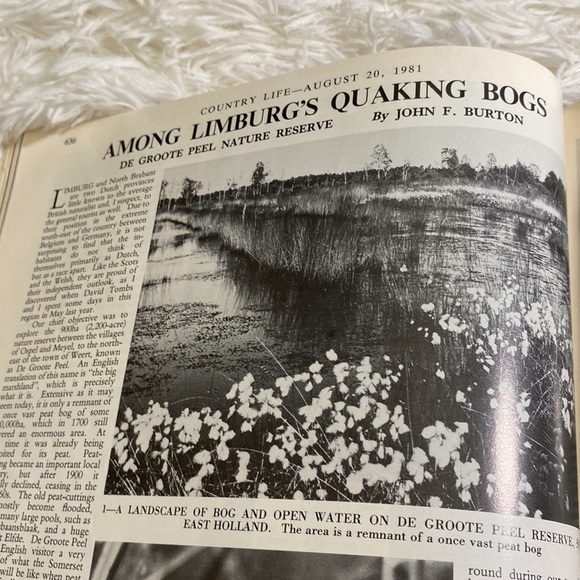 COUNTRY LIFE DUTCH NUMBER August 20, 1981 - Picture 10 of 13